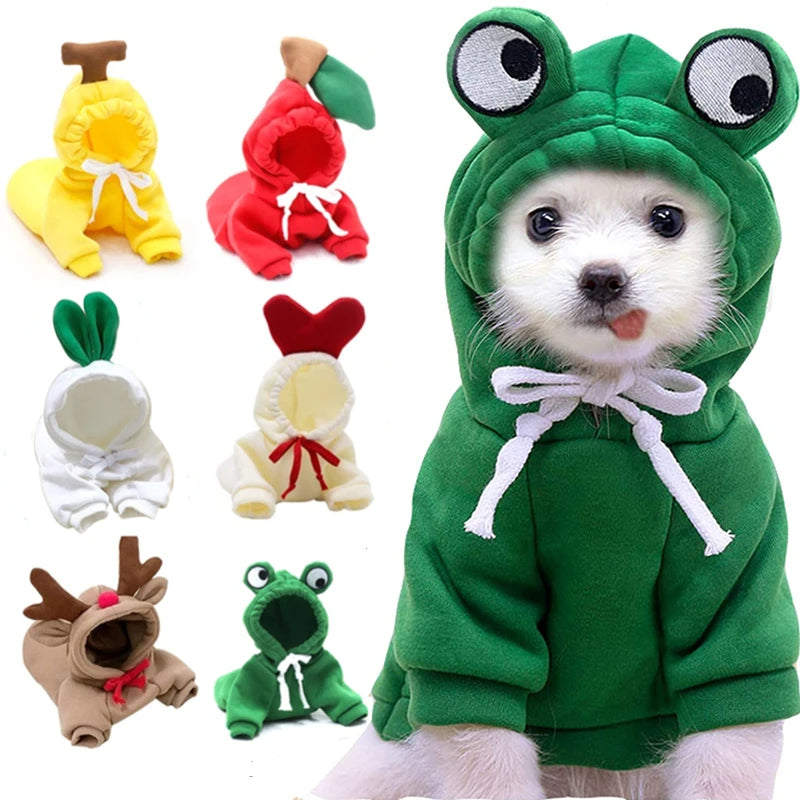 Cute Novelty Dog Hoodie Sweater | Fruit Print Drawstring Coat for Small Dogs