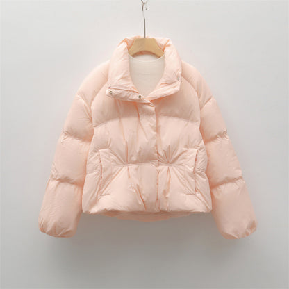 New Small Stand-collar Solid Color Simple Down Jacket For Women
