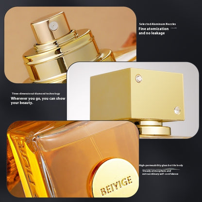 Nightclub Edition Woody Fragrance 105ml | Eau de Parfum