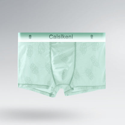 Men's Ice Silk Mesh Boxer Briefs – Quick-Dry Gradient Underwear