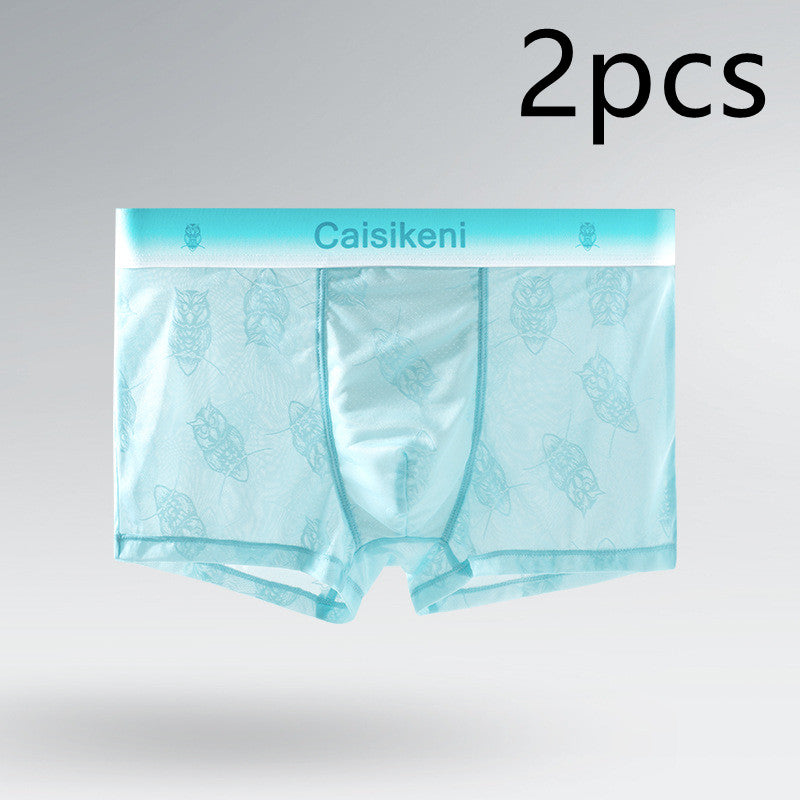 Men's Ice Silk Mesh Boxer Briefs – Quick-Dry Gradient Underwear