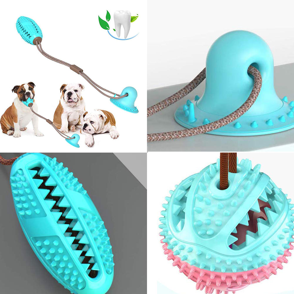Suction Cup Tug & Chew Dog Toy Ball