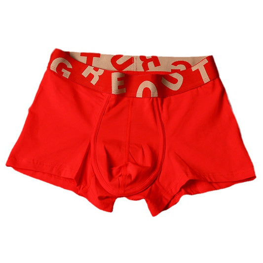 Men's Cotton Knit Boxer Briefs – Antibacterial Breathable Mid-Waist 6 Colours