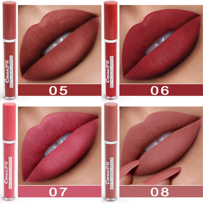 Waterproof Matte Lip Gloss Set 10 Pack | Long-Lasting Assorted Shades