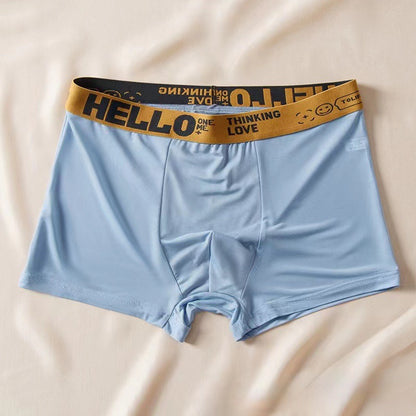 Men's Ice Silk Antibacterial Boxer Briefs | 8 Colours | L–6XL