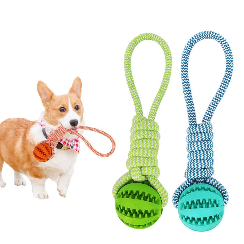 Interactive Hemp Rope & Rubber Dog Toy | Chew & Dental