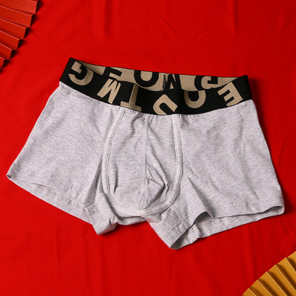 Men's Cotton Knit Boxer Briefs – Antibacterial Breathable Mid-Waist 6 Colours