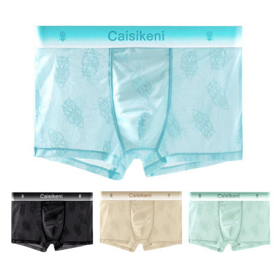 Men's Ice Silk Mesh Boxer Briefs – Quick-Dry Gradient Underwear