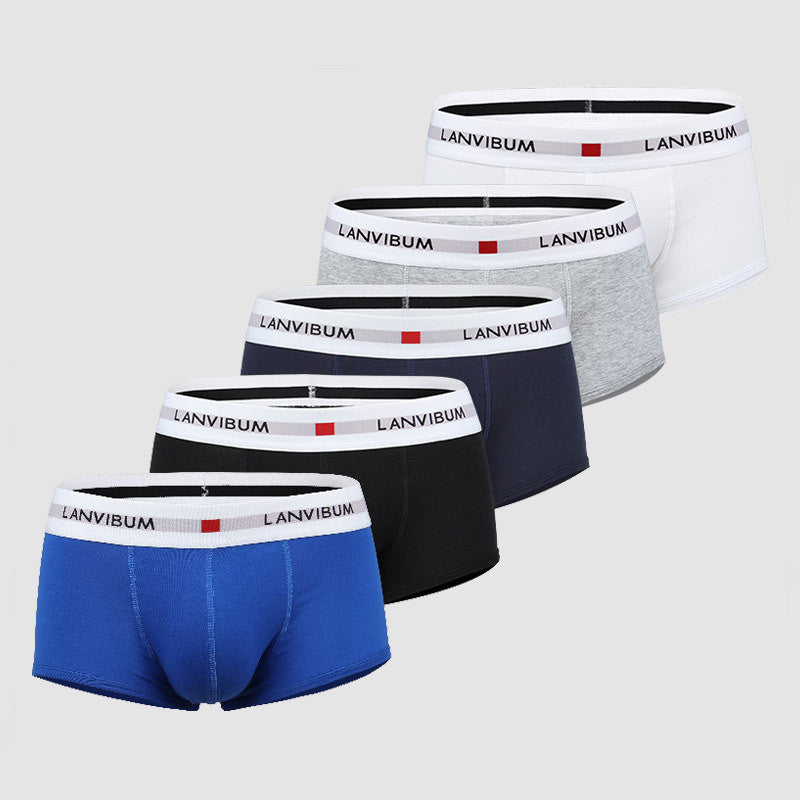 Men's Cotton Boxer Briefs – Low-Waist Everyday Underwear 5 Colours